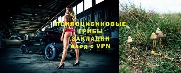 гидра Белокуриха
