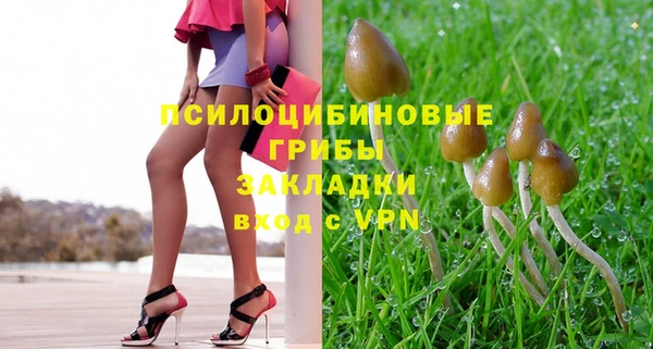 spice Балахна