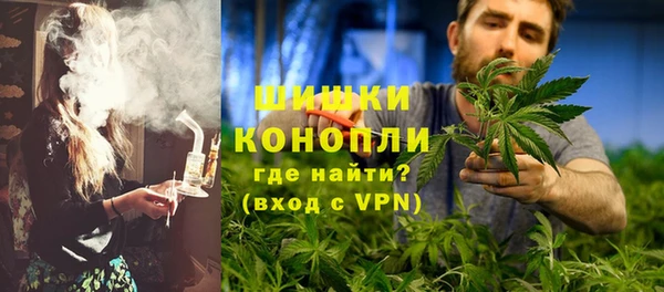 гидра Белокуриха
