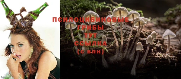 spice Балахна