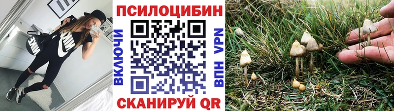 Псилоцибиновые грибы мухоморы  Купить закладки  Микунь 